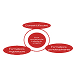Conseil et &eacute;tudes